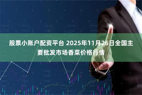 股票小账户配资平台 2025年11月26日全国主要批发市场香菜价格行情